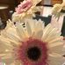 Profile Picture of Linda Moore Bruns (@lindamoore.bruns) on Facebook