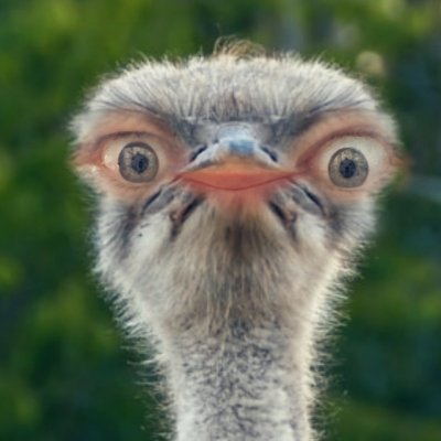 Profile Picture of James Manion (@JamesManion10) on Twitter