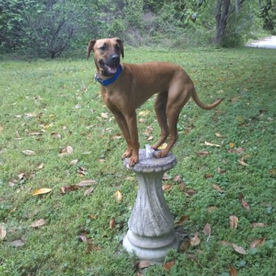 Profile Picture of Sit Happens (@DaveStellato) on Twitter