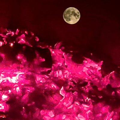 Profile Picture of Erick Klous (@FauXi66) on Twitter