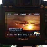 Profile Picture of Alvin Tung (@alvin.tung) on Instagram