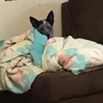 Profile Picture of Keith Spears (@actualfan) on Instagram