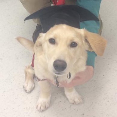 Profile Picture of Sam Dow (@samdowiamdow) on Twitter