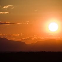 Profile Picture of Gjon Marku (@GjonMarku11) on Twitter