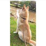 Profile Picture of Kimberly_rose (@kimberose128) on Instagram