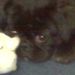 Profile Picture of James Batts (@beebee2901) on Pinterest
