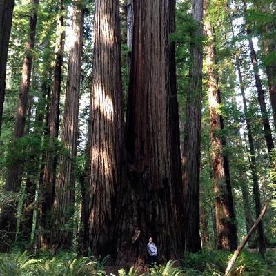 Profile Picture of Melanie Schweizer (@mpapa01) on Twitter