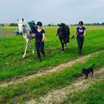 Profile Picture of robinh.undmingo (@robinh.undmingo) on Instagram