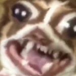 Profile Picture of Caleb Storey (@biology_pro) on Instagram