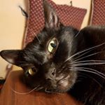 Profile Picture of Annerose Seibel (@seibelannerose) on Instagram