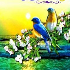 Profile Picture of Vipol Patel (@vipolpatel) on Tiktok
