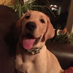 Profile Picture of Autumn Lindquist (@autumnlyn77) on Instagram