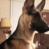 Profile Picture of Shane Thurlkill (@sthurlkill) on Tiktok