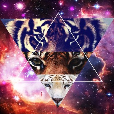Profile Picture of Bryson Pendleton (@Chief_Pat2201) on Twitter
