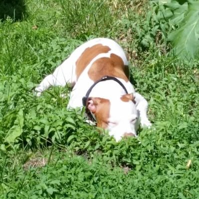 Profile Picture of Jay Botsford (@jcbotsford) on Twitter