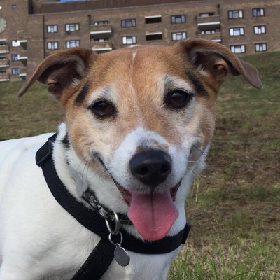 Profile Picture of Stephen Winn (@Skipperwinn) on Twitter