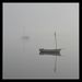 Profile Picture of Andree Freeman (@jenny4eccles) on Pinterest