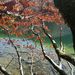Profile Picture of Iris Hahnl (@26iris12) on Pinterest