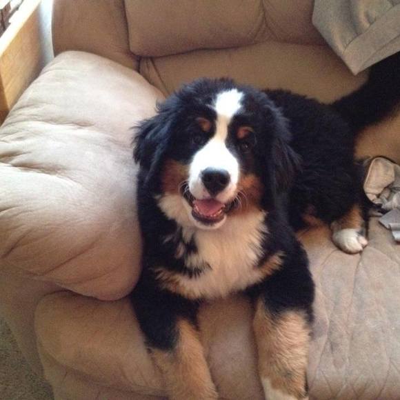 Profile Picture of Sandy Layte (@slayte) on Poshmark