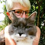 Profile Picture of Janet Sutherland (@janet.sutherland.39) on Instagram