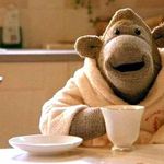 Profile Picture of connie minton (@knitted_monkey) on Instagram