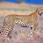 Profile Picture of Kieth Tomas (@kieth.tomas.5) on Facebook