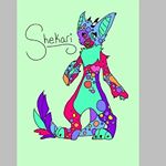 Profile Picture of Shekari lynn sebone (@shekari._.sebon.wolfcatdragon) on Instagram