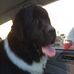 Profile Picture of Thor Bob (@thor.bob.79) on Facebook