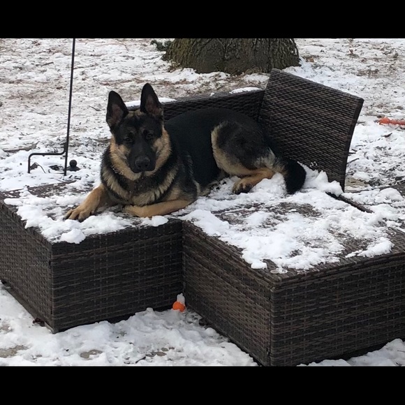 Profile Picture of Catherine Mitsopoulos (@cmitso) on Poshmark