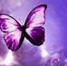 Profile Picture of Felicity Fuller (@felicity.fuller.58) on Facebook