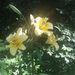 Profile Picture of Linda Rinker (@garysbear) on Pinterest