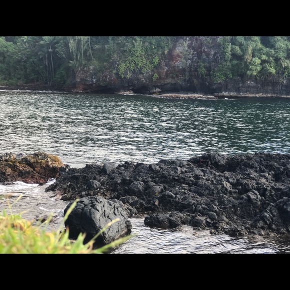 Profile Picture of Stasha Eliu (@steliu) on Poshmark