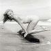 Profile Picture of Marilyn Peterson (@mpeter03) on Pinterest