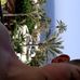 Profile Picture of Sam Wilkinson (@sam.wilkinson.507464) on Facebook