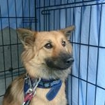 Profile Picture of ようへい (@xiaosongyangping) on Instagram