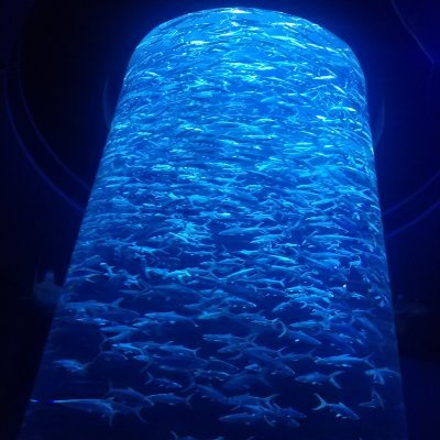 Profile Picture of Lan (@leung89754269) on Twitter