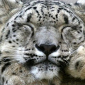 Profile Picture of Tammy Kahrs (@tammykahrs2312) on Youtube