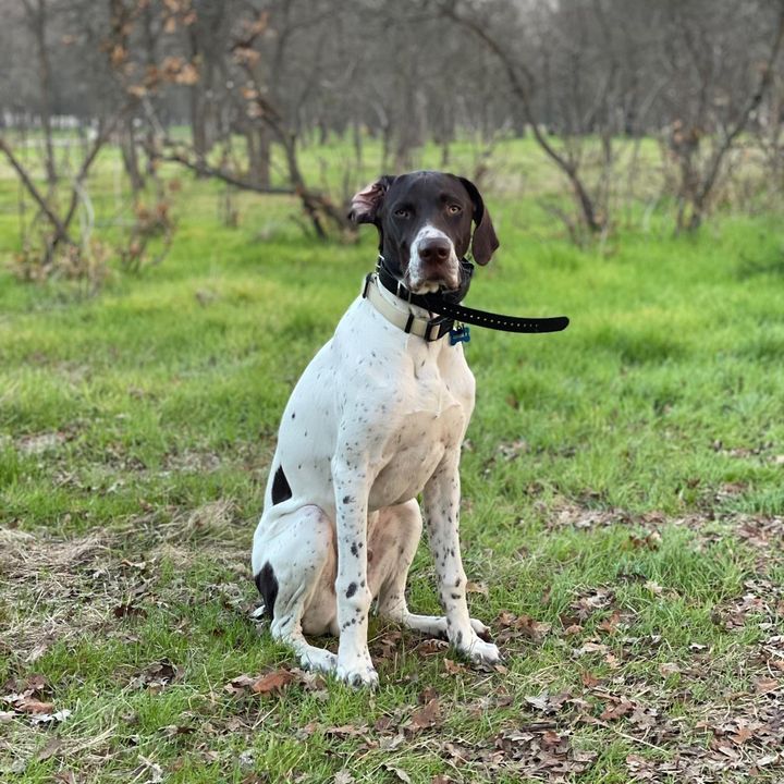 Profile Picture of DAVID MCANELLY (@@davemcanelly211) on Tiktok