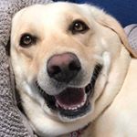 Profile Picture of David StClair (@david.stclair.526) on Instagram