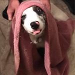 Traci Hughes-Harrison - Instagram Profile Picture of Traci Hughes-Harrison (@tracihughesharrison) on Instagram