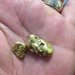 Profile Picture of Dwight Herren (@goldhunter321) on Instagram