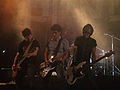 Profile Picture of Pignoiseon Wikipedia