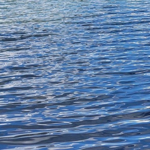 Profile Picture of Seth Reid (@polarlime768) on Poshmark