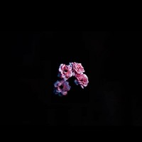 Profile Picture of Maria Vindiola (@maria-vindiola) on Quora