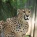 Profile Picture of Jo Anne Pitcher (@jo.a.pitcher) on Facebook