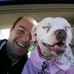 Profile Picture of Bobby Bourgeois (@bobby.bourgeois) on Instagram