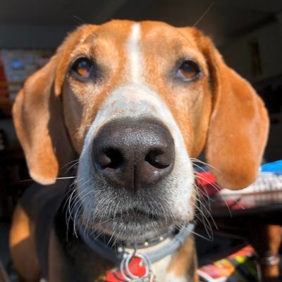 Christian Pedder - Twitter Profile Picture of Christian Pedder (@c_pedder) on Twitter