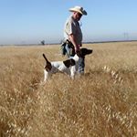 Profile Picture of Don O'Brien Kennels (@donobrienkennels) on Instagram