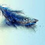 Profile Picture of Marshall McVey (@marshall.mcvey.3) on Facebook