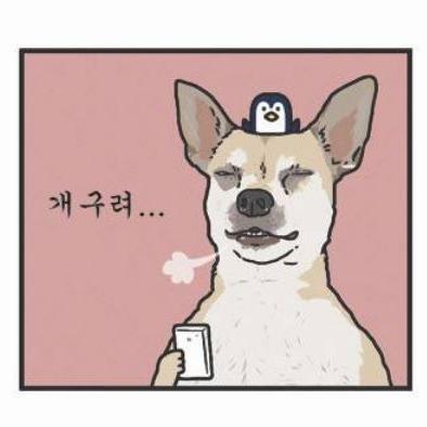 Profile Picture of Hwang Hee Jung / 황희정 (@hhj1123) on Twitter